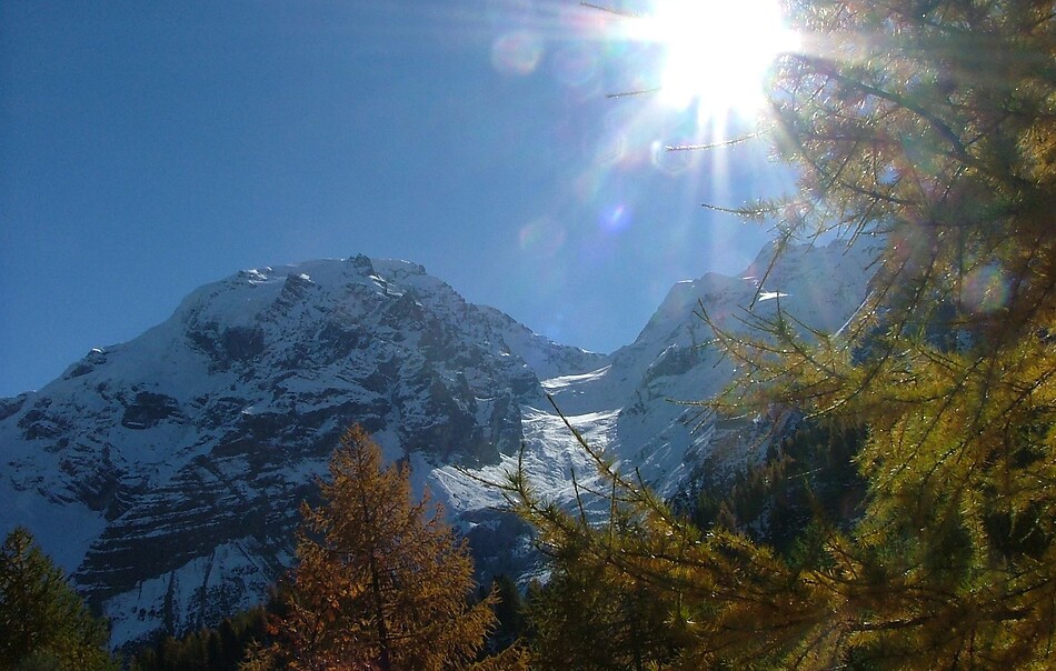 GOLDENE HERBSTWOCHE -10%